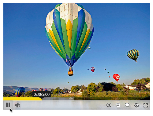 Screenshot of the Floe video player, in its default configuration